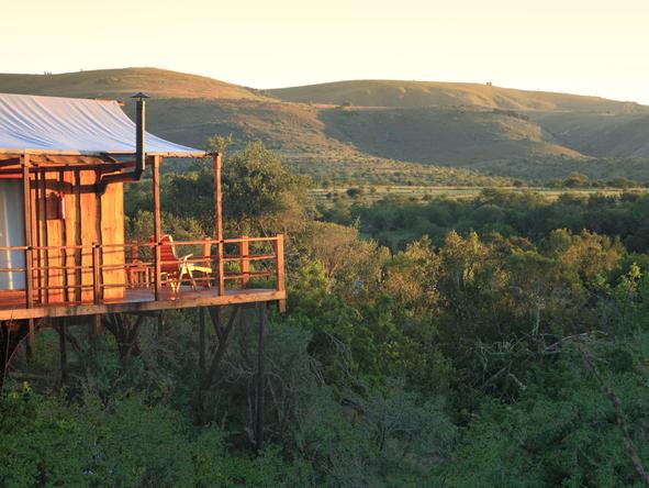 Elephant Safari Lodge - Exterior